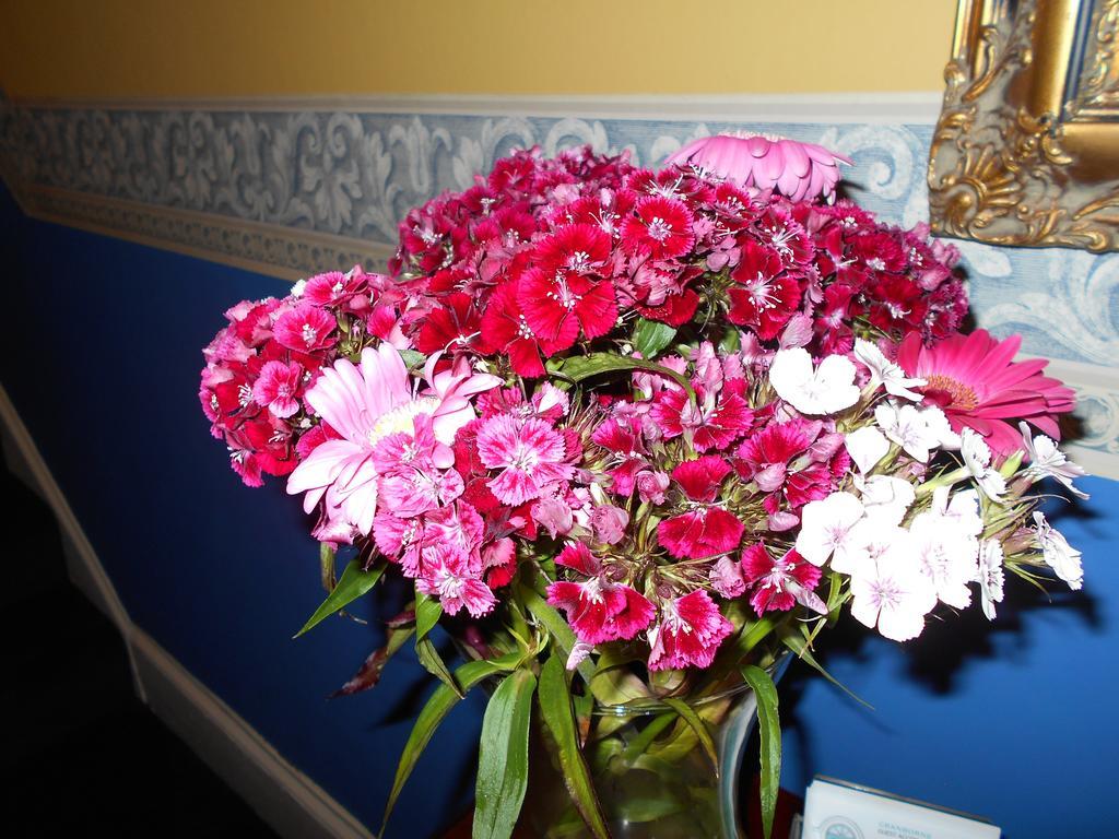 Cranborne Guest Accommodation Exclusively For Adults توركواي المظهر الخارجي الصورة